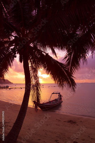 Wooden boat under the palm trees on tropical beach at sunset