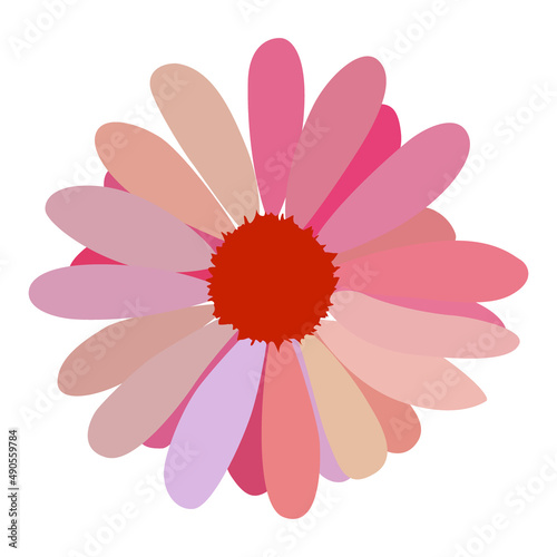 simple flower of blossoming and blooming red chamomile. Illustration