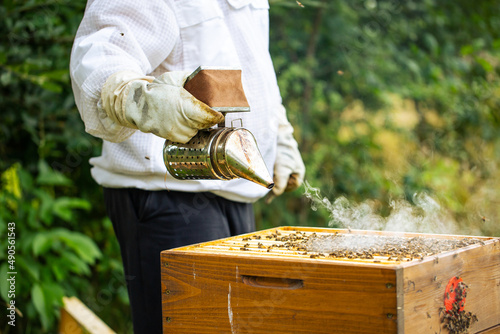 Bee smoker with beekeeper working in his apiary on a bee farm, beekeeping concept photo