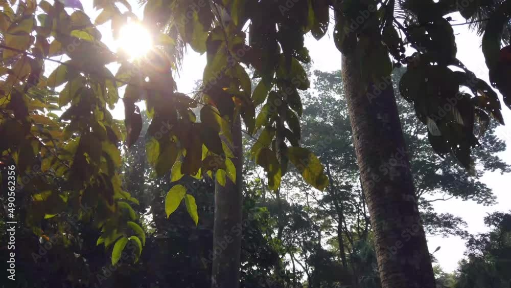 city parks with sun early morning city parks with sun early morning