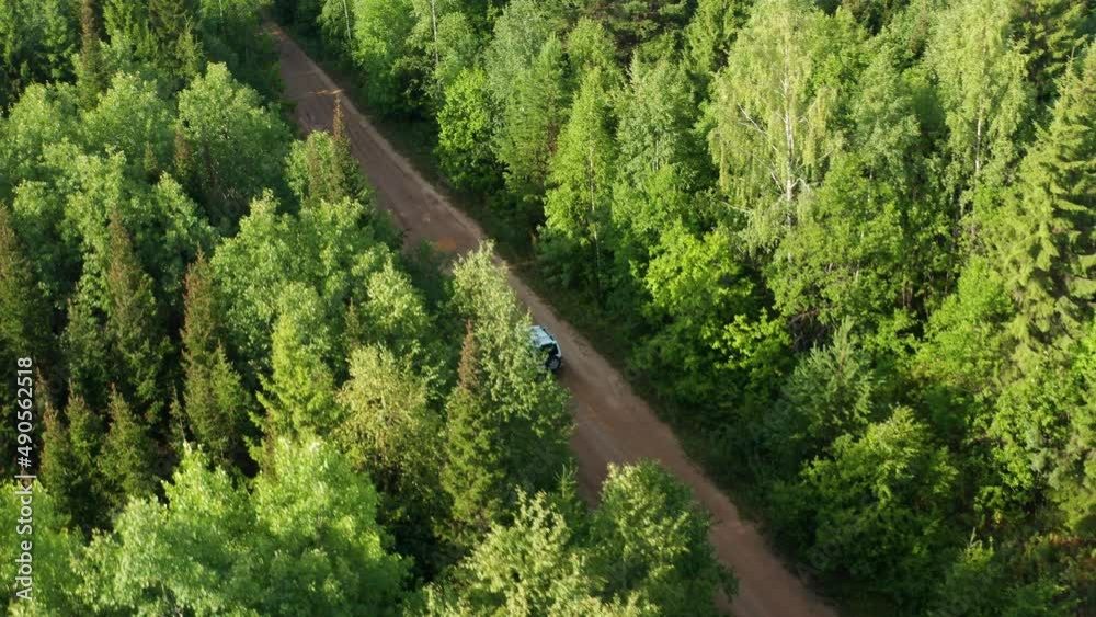 Travelers drive a car in the forest