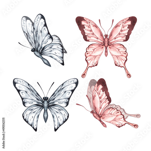 Watercolor gray and orange butterflies on a white background