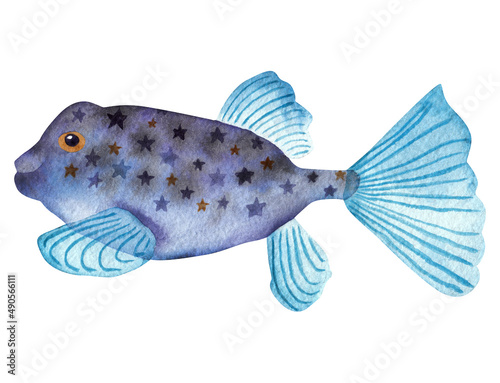 Photography Fairy fish, watercolor illustration.