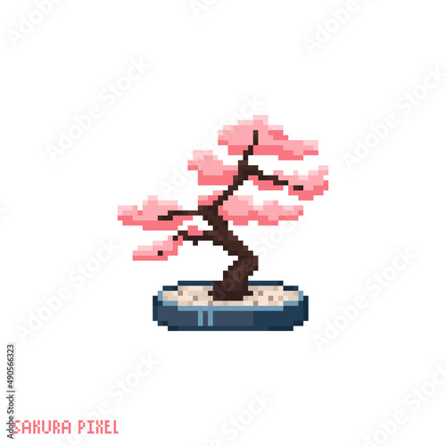 Pixel art bonsai sakura icon. Vector 8 bit style illustration of asian cherry blossom bonsai. Pink hanami sakura bonsai decorative oriental spring element of retro video game computer graphic.