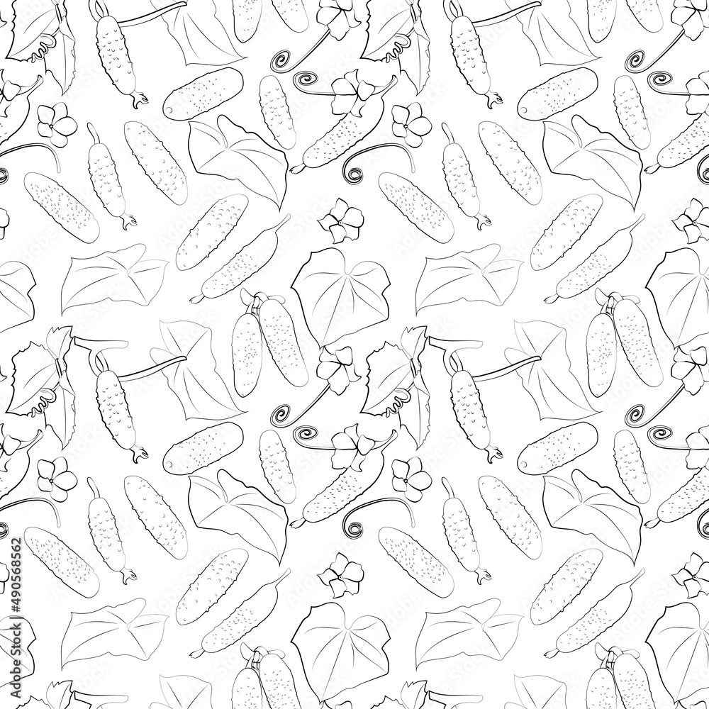 Fototapeta premium A set of seamless background. Vector line art style. Vegetable. Cucumber. Isolated on white background. Black and white version. 1000x1000