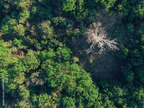 Aerial drone shot of summer...