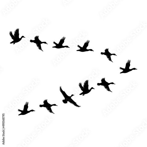 ducks flying set silhouette isolated