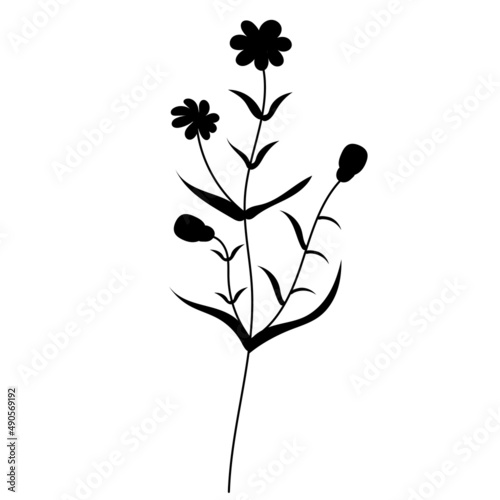 Fototapeta Naklejka Na Ścianę i Meble -  flower black silhouette isolated vector
