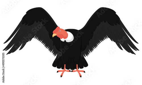 Isolated traditional black condor bird Vector illustration photo