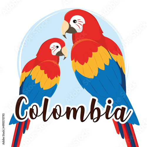Pair of colored tropical parrots Colombia Vector illustration