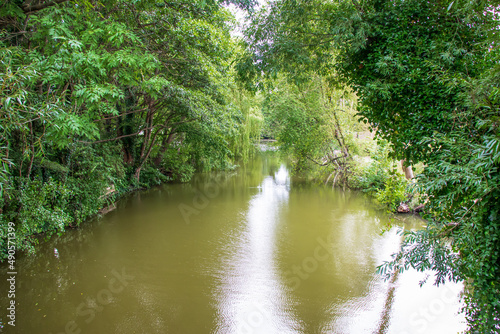 Small quiet lake surrounded by green trees. High quality photo