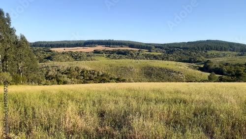 landscape in the mountains