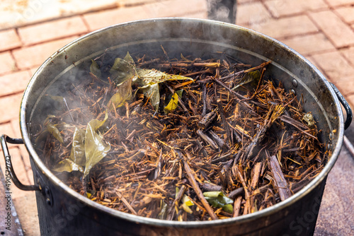 Cozimento da Ayahuasca Apuração