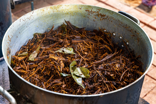 Cozimento da Ayahuasca Apuração photo