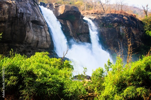 waterfall in the forest