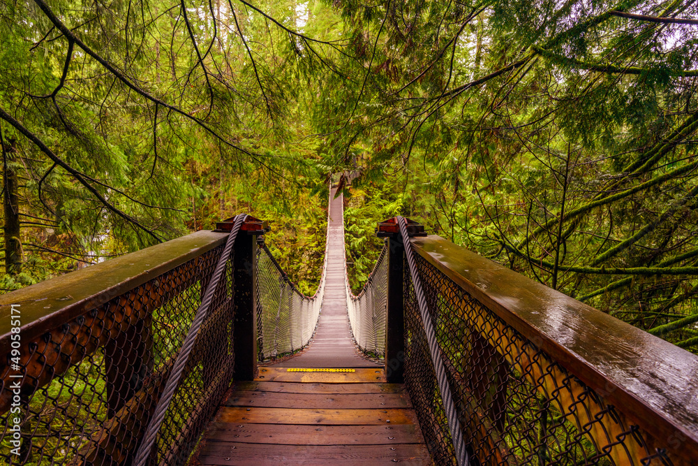 Fototapeta premium Suspension bridge in the forests at a BC public park.