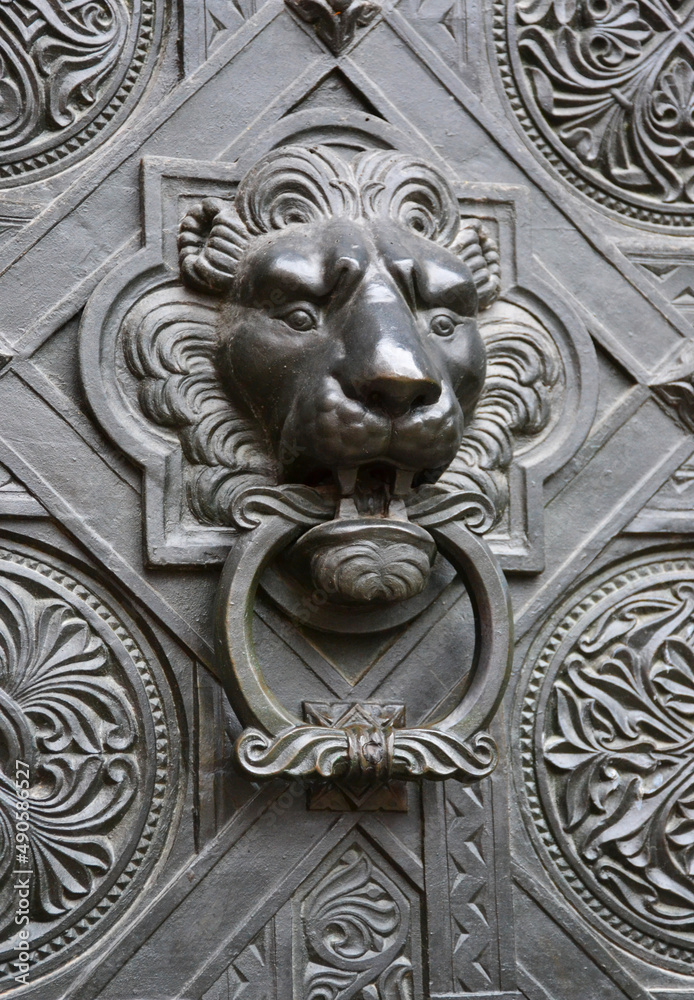 Vintage door handle with lion face