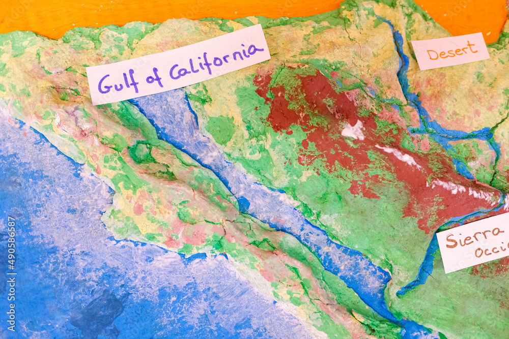 Naklejka premium A relief elevation map of the Gulf of California