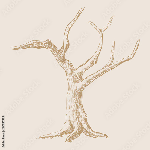 Old vintage bare tree hand drawn illustration vector, line art style tree, roots, tree icon artistic