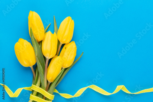 Yellow tulips on the blue background. #490590911