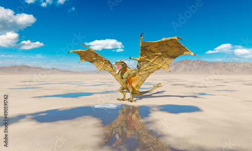 dragon is standing up and ready to attack on the desert after rain side view © DM7