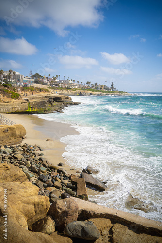 palm tree beach and ocean scene