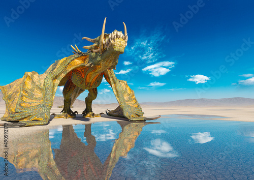 dragon on the desert after rain © DM7