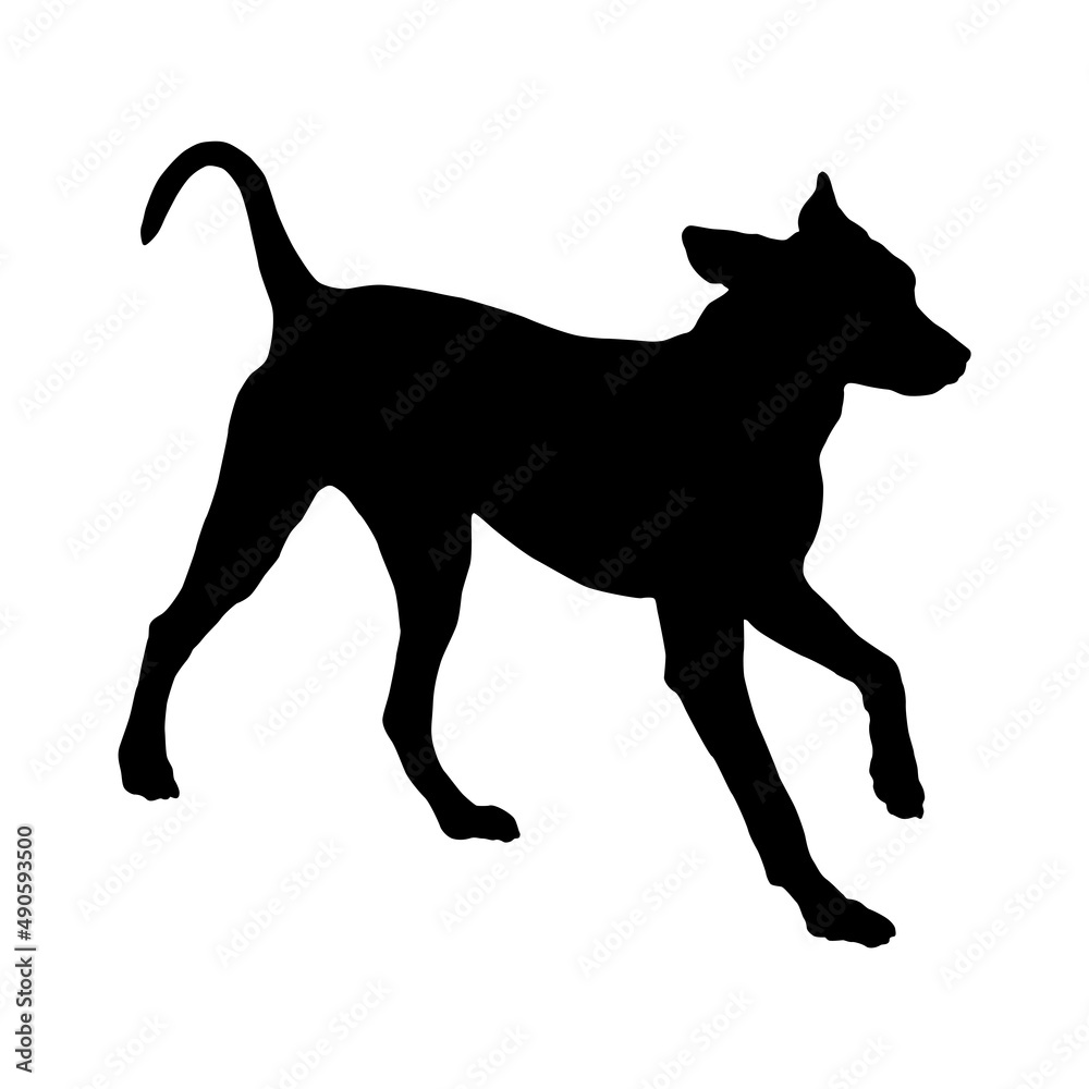 Running dalmatian dog puppy. Black dog silhouette. Pet animals. Isolated on a white background. Vector illustration.