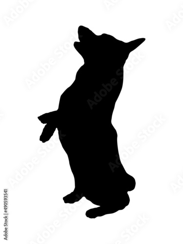 Black dog silhouette. Pembroke welsh corgi puppy is standing on his hind legs. Pet animals. Isolated on a white background. Vector illustration.