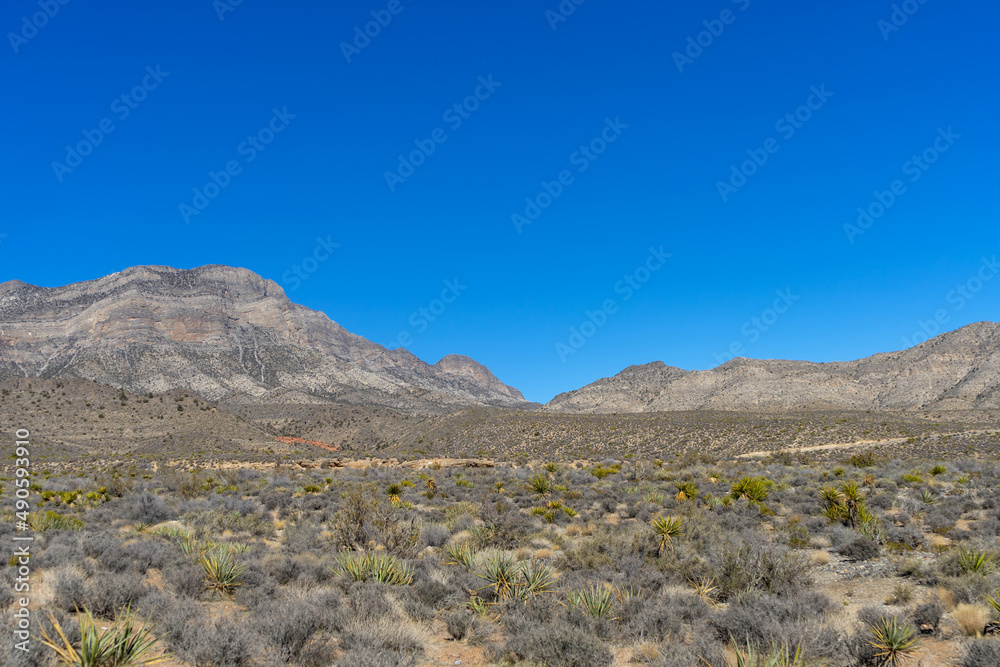 Wide angel view of Southern Nevada desert landscape with mountains