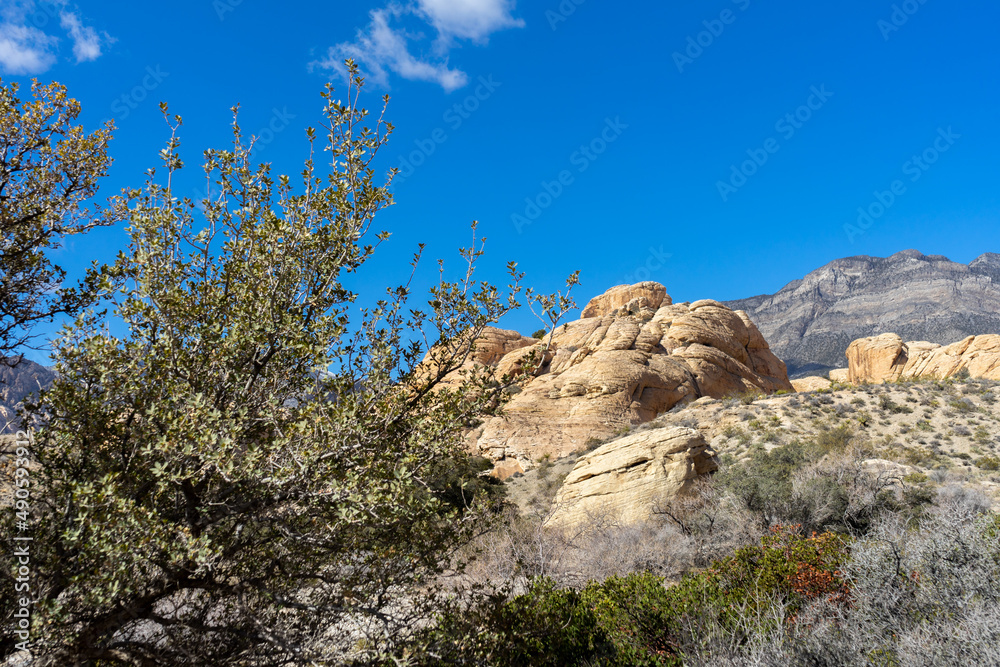 Sandstone rock formation in the Red Rock Canyon area in Nevada