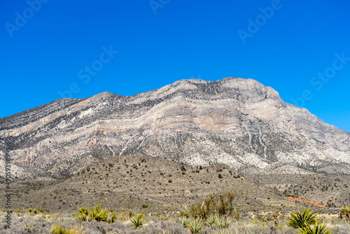 Landscape view of Turtlehead Mountain in Southern Nevada