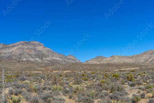 Wide angel view of Southern Nevada desert landscape with mountains