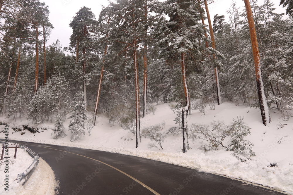 Fototapeta premium Paisaje nevado