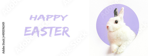 Happy Easter. Typography, Lettering, Handwritten, vector for greeting