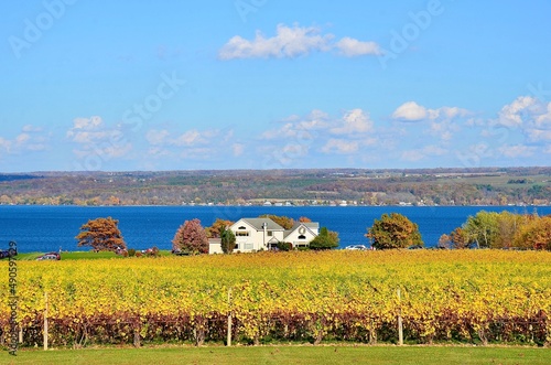 Gorgeous lake view with autumn golden color vineyard, at the western shore of Cayuga Lake in Finger Lakes region of Ovid, New York. Winery house on the lakeshore 