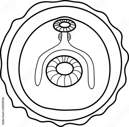 Coloring page with metacercaria of Sheep liver fluke (Fasciola hepatica) isolated on white background