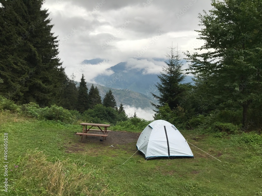 Tent in the forest , camping in the clouds Tent in the forest , camping in the clouds