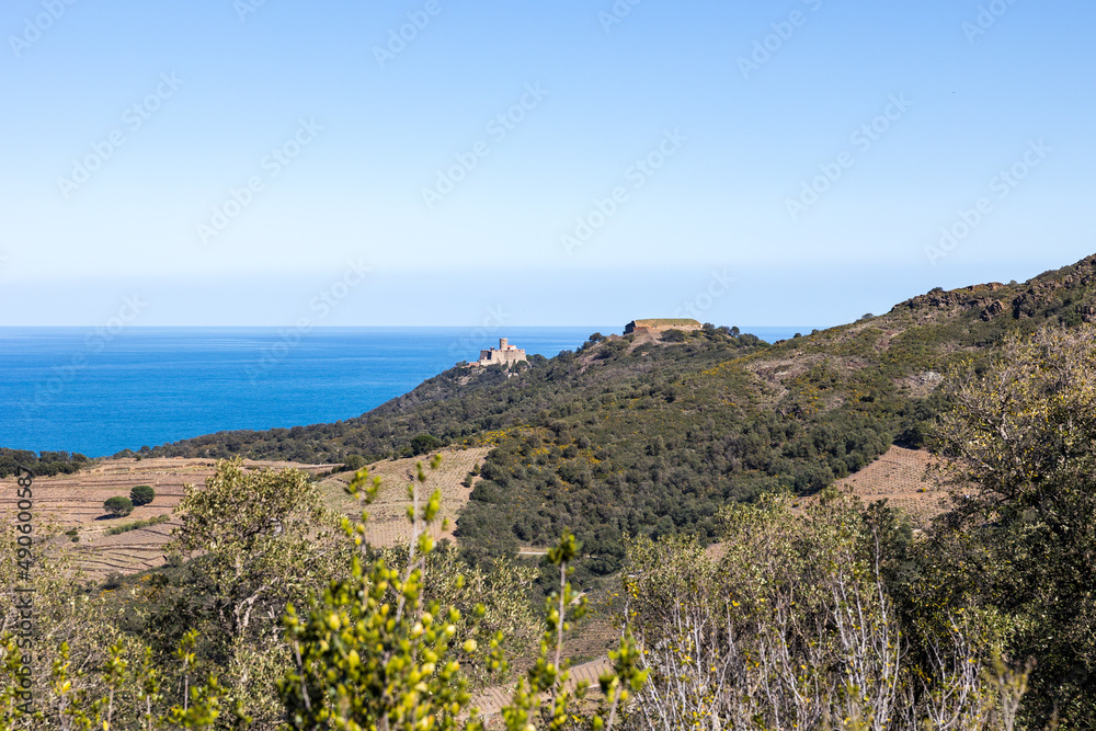 Vue sur le Fort Saint-Elme et le Fort Dugommier dominant la mer et la Côte Vermeille (Occitanie, France)