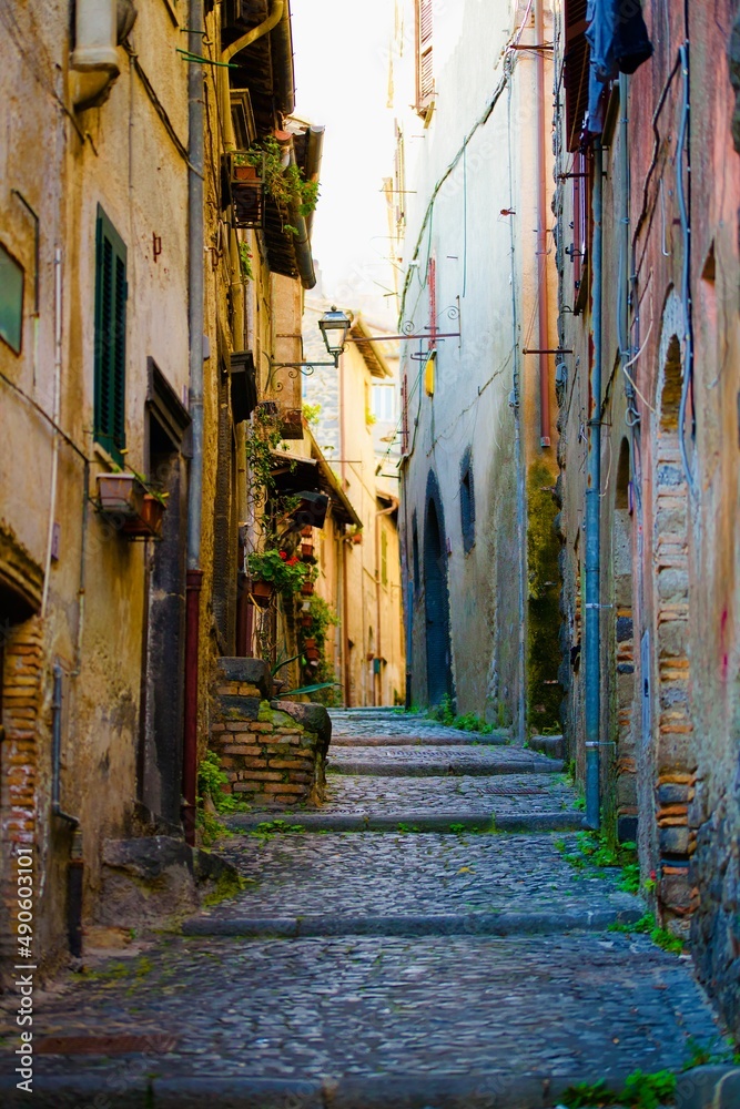 Fototapeta premium 500px Photo ID: 1044200479