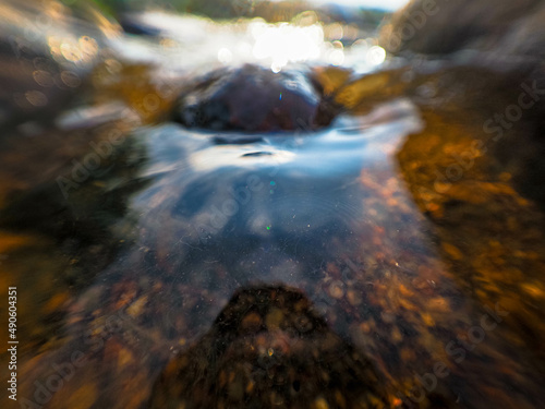 stream in the mountains