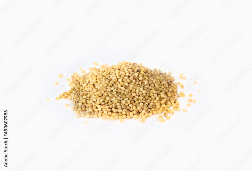 Millet Seeds in Pile or Heap that are Organically Grown and Hulled in 3/4 View or Point of View Shot Isolated on White Millet Seeds in Pile or Heap that are Organically Grown and Hulled in 3/4 View or Point of View Shot Isolated on White