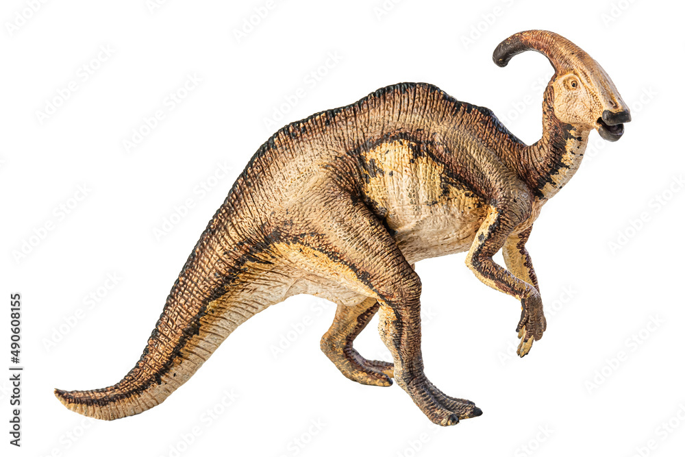 Obraz premium Parasaurolophus , dinosaur on white background .