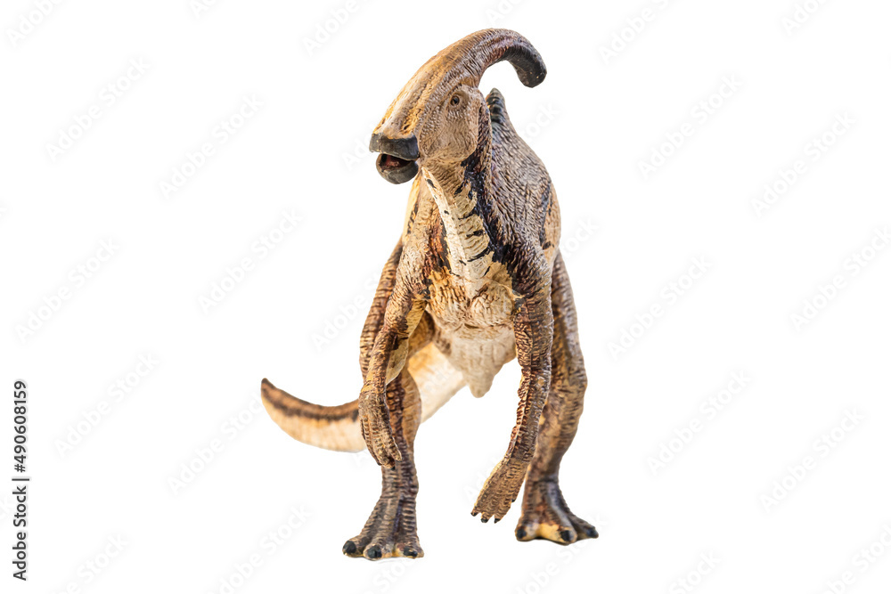 Naklejka premium Parasaurolophus , dinosaur on white background .