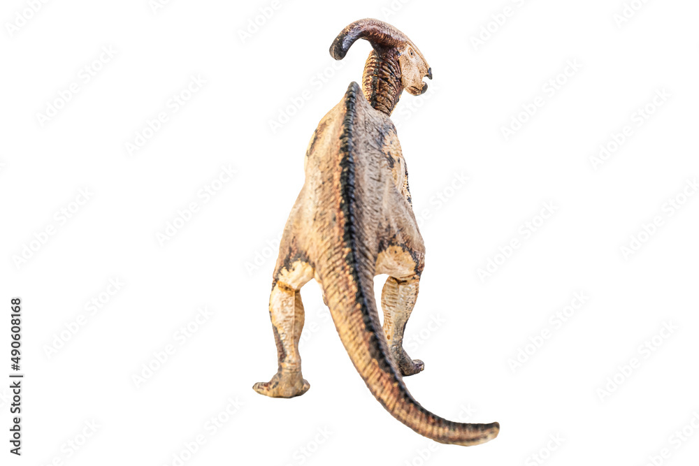Fototapeta premium Parasaurolophus , dinosaur on white background .