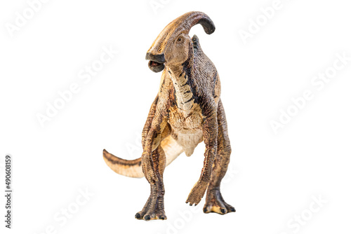 Parasaurolophus    dinosaur on white background .