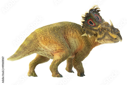 SINOCERATOPS    dinosaur on white background .