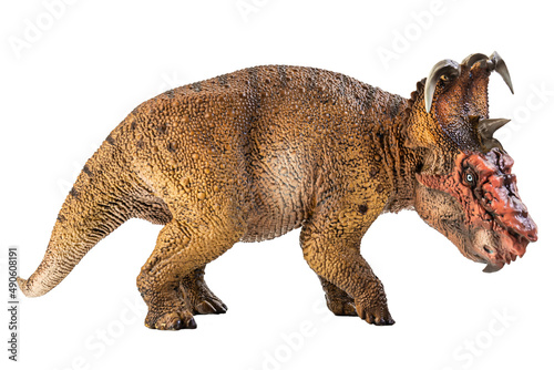 Pachyrhinosaurus  , dinosaur on white background . © meen_na