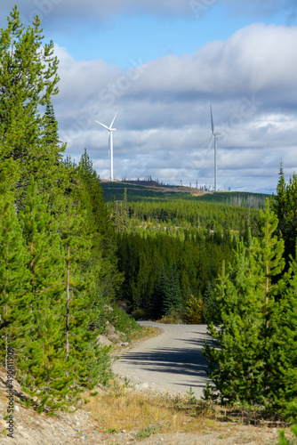 Windmills in Forest