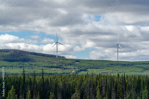 Windmills in Forest